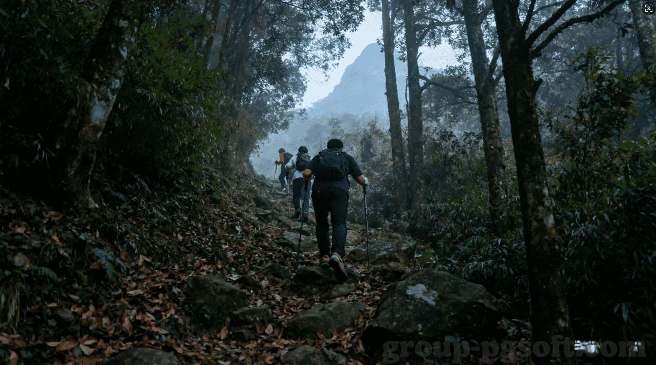 世界杯网在线直播-世界杯网在线直播，连接全球的足球盛宴